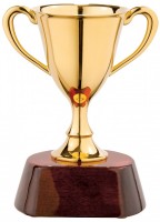 Награда «Кубок» - Рекламно производственная компания "Рекламная кухня" - сувениры для бизнеса.