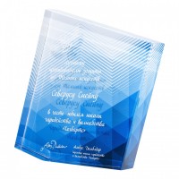 Награда «Точка опоры» - Рекламно производственная компания "Рекламная кухня" - сувениры для бизнеса.