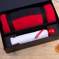 Набор подарочный" RAINY DAY" зонт складной, механический, плед, коробка - Рекламно производственная компания "Рекламная кухня" - сувениры для бизнеса.